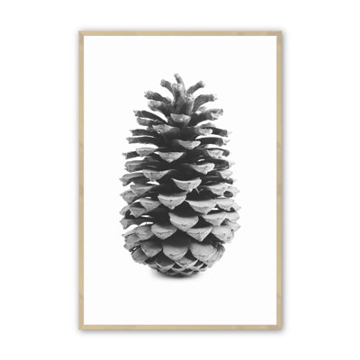 «Portrait of a Pinecone» par Krista Mosakowski - Cadre photo unique, impression