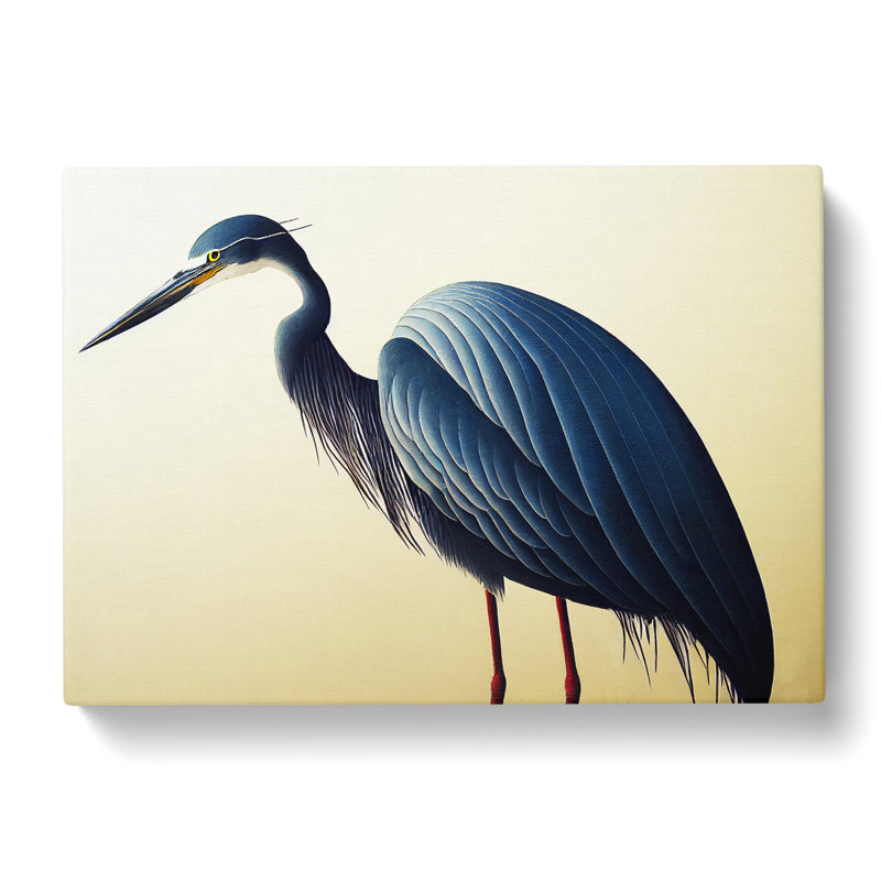 A Dazzling Heron Bird - Wrapped Canvas, 50cm H x 76cm W x 3cm D