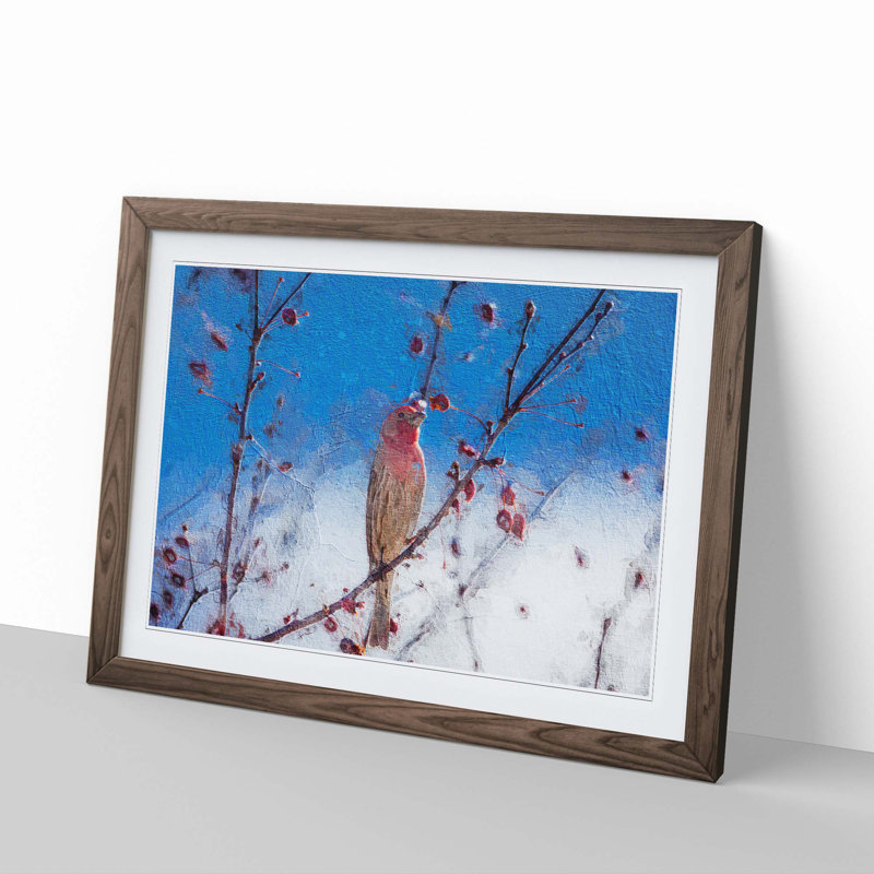 House Finch Bird - Framed Print, Walnut Framed, 36cm H x 48cm W x 2cm D