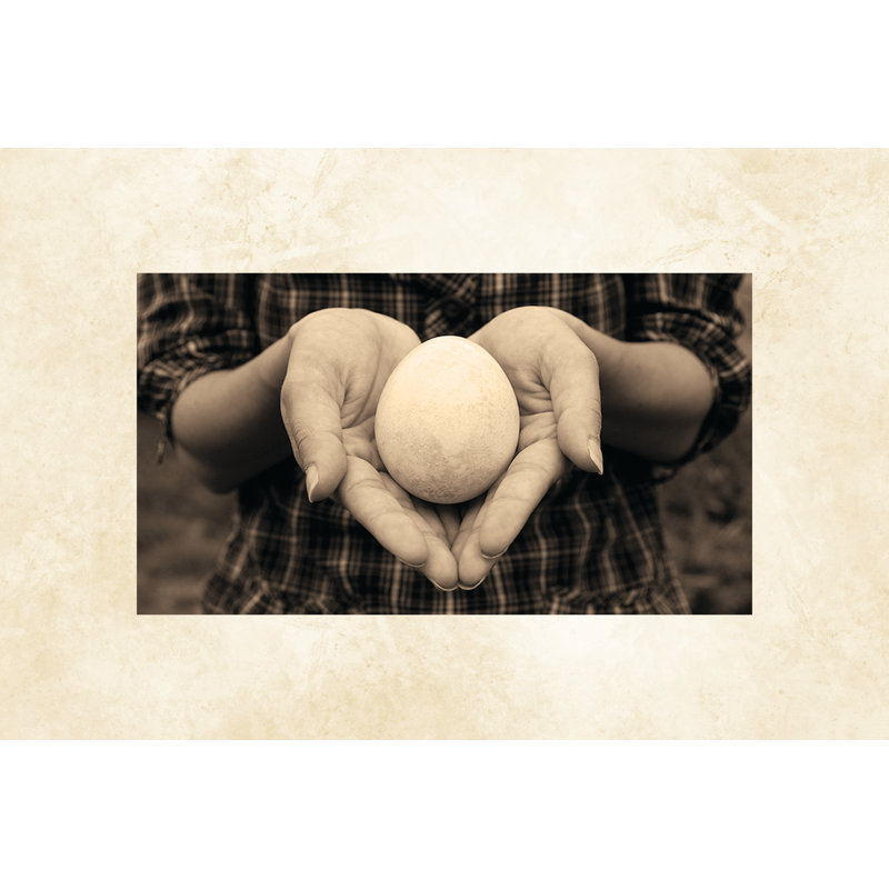 Mother Magnet Pic - Wrapped Canvas Print, 30cm H x 46cm W x 3.8cm D