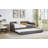 Daybed, Sofa Bed Metal Framed With Trundle Twin Size