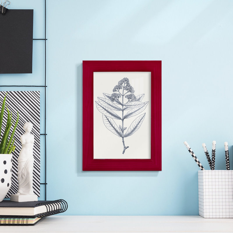 Indigo Botany Study I - impression d'un cadre photo, Rouge, H 6 po x l 4 po x P 1 po