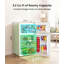 BANGSON Top Freezer Freestanding Mini Fridge