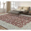 Oriental Area Rug in Red/Ivory