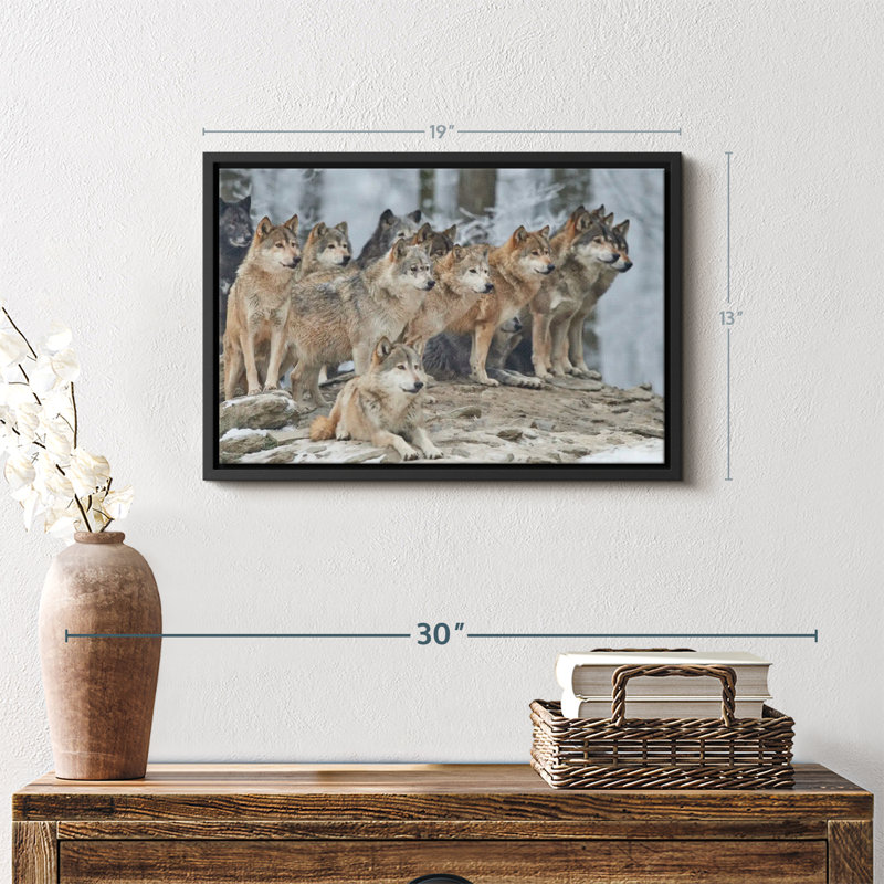 " Wild Wolf Pack ", 19" H x 13" W