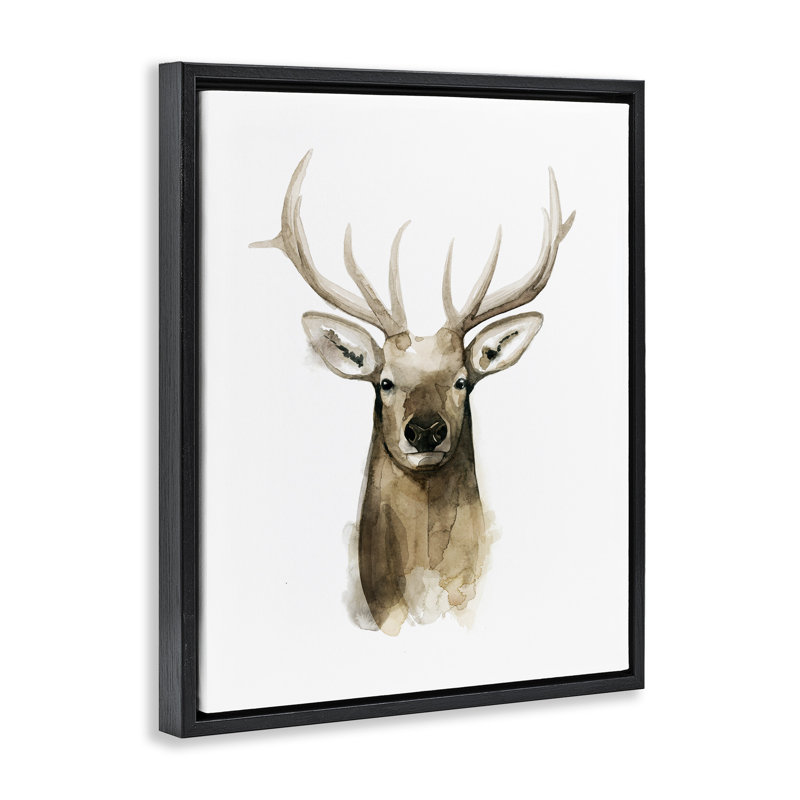 Portrait de cerf, aquarelle, H 17 po x l 21 po, Cadre flottant noir de jais
