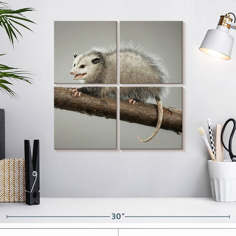 Bramoss Snarky Opossum, H 18 po x l 18 po