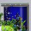 Réservoir d'aquarium 100 à 110 gallons-130084383-130084381