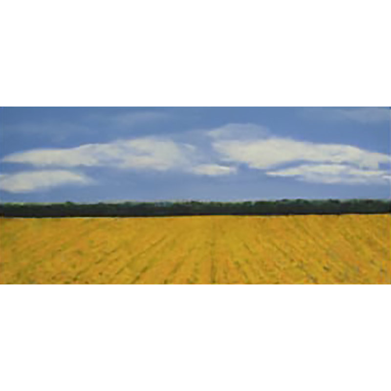 Yellow Fields Painting by Joyce Creiger, 24"H x 66"W