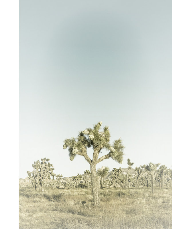 Wrapped Canvas Print, 76.2 cm H x 50.8 cm W