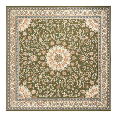 Indoor/Outdoor Traditional Area Rug