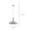 Yonkers 1 - Light Satin Nickel Pendant-104853053-104853055
