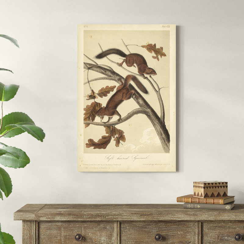 Écureuil Audubon III, H 36 po x l 24 po x P 1,25 po