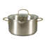 Ensemble de casseroles et poêles Oster Platinum Sunstreak, ensemble de batterie de cuisine en acier inoxydable 10 pièces avec couvercle en verre et poignées dorées, ensemble de batterie de cuisine à induction
