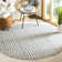 Dubay Geometric Hand Woven Indoor / Outdoor Area Rug