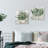 " Eucalyptus Pot I, Eucalyptus Pots II " 2 - Pieces