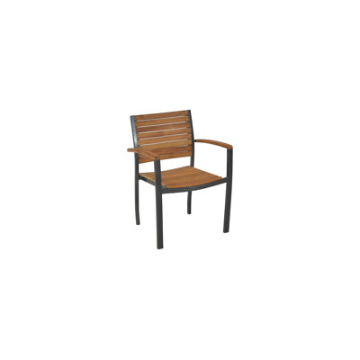 Aude Outdoor Patio Dining Armchair
