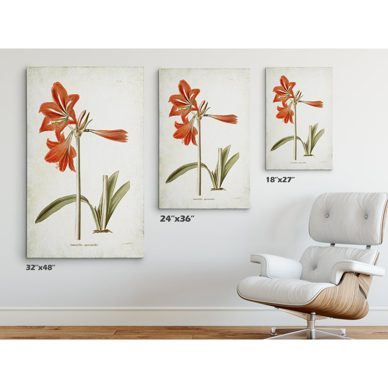 « botanique assiette iii », reproduction d’impression sur toile tendue, H 24 po x l 36 po x P 1,5 po