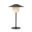 Ani 13" Metal Novelty Table Lamp-384962690