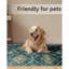 Moroccan 120cm X 180cm Area Rug