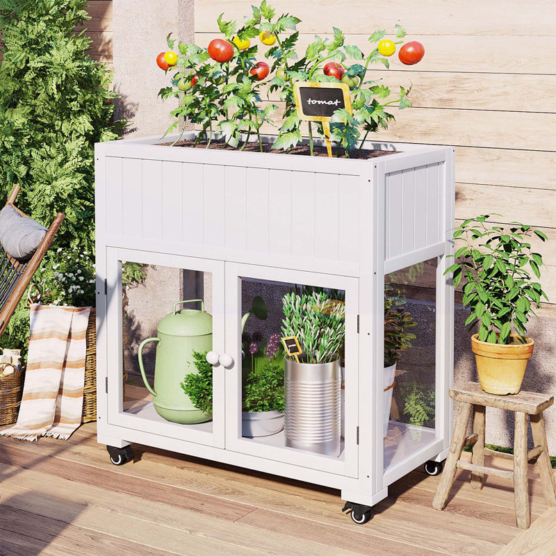 Mini serre polyvalente avec des caractéristiques avancées pour toutes les saisons, Blanc