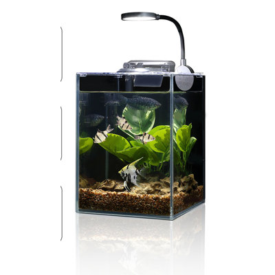 Gallon Fish Bowl Cleaning Betta Fry Tank Small Fish Tank Gallon