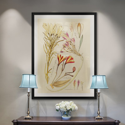 Reproduction botanique antique sur toile