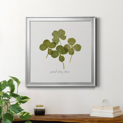 «Pressed Clover I», reproduction encadrée de qualité supérieure - prête à être accrochée