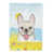 French Bulldog (White )