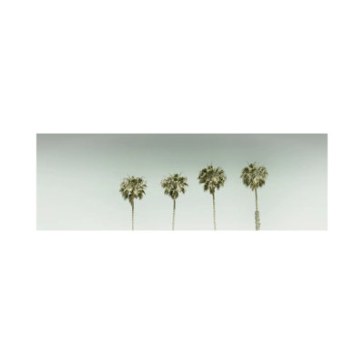 Panoramic Vintage Palm Trees by Melanie Viola - Wrapped Canvas Panoramic Print