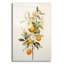 «Botanical Fruit 3» par Petals Prints Design, art mural en verre acrylique-1622863615