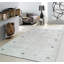 Area Rug in Light Blue