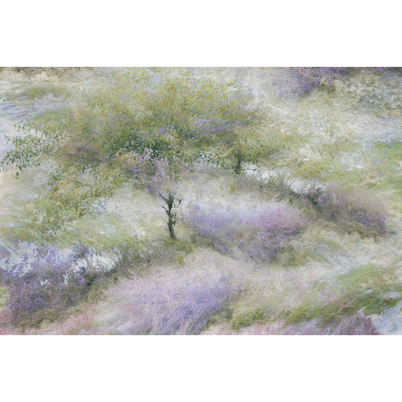 Wrapped Canvas Print, 60.96cm H x 91.44cm W