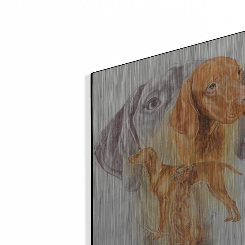 "Vizsla hongroise" par Barbara Keith, H 16 po x l 12 po