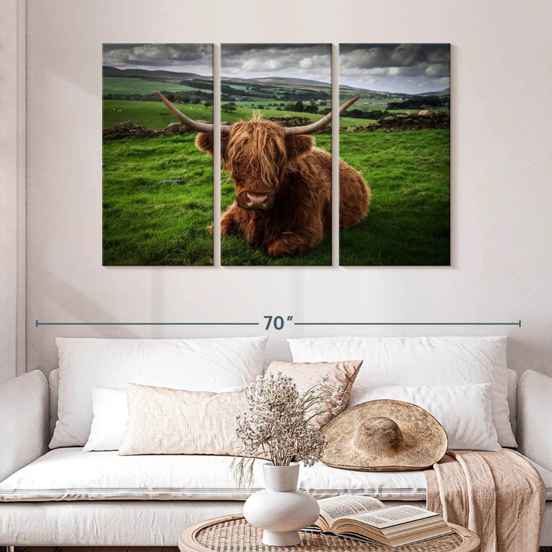 Mellow Highland Cow, 32" H x 50" W