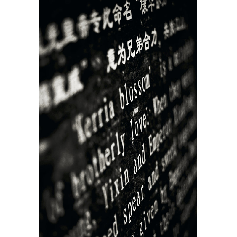 Lithography I by Tang Ling - Wrapped Canvas Print, 91cm H x 61cm W