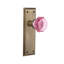 New York Plate with Waldorf Pink Door Knob-472005162