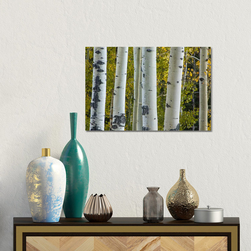 Aspen Trunks by Bill Sherrell - Gallery-Wrapped Canvas Giclée on Canvas, Canvas, 66.04 cm H x 45.72 cm W x 3.175 cm D