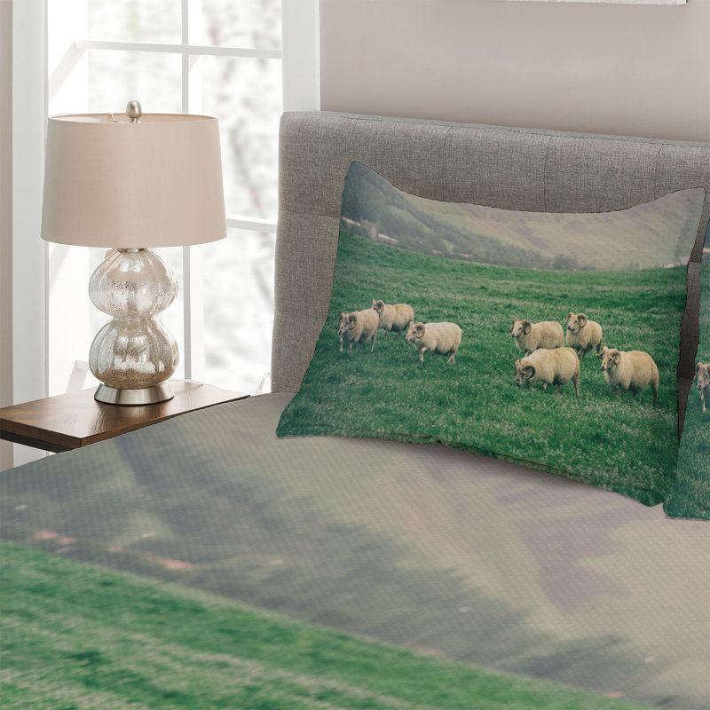 Coverlet, King Bedspread + 2 Shams