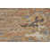Trasdamad Wool Abstract Indoor Rug