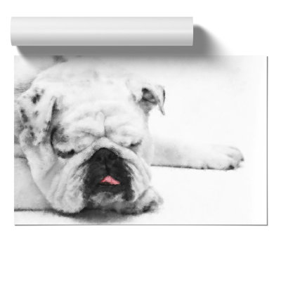 White British Bulldog Painting - Frameless Print