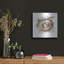 «Bird Nest Study IV» par Ethan Harper-775182566