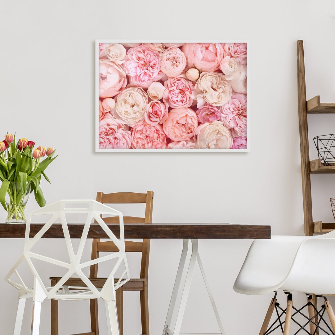 Gerahmter Grafikdruck Roses Coral Shabby