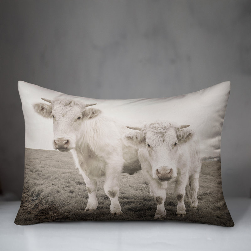 Coussin intérieur / extérieur, H 14 po x l 20 po, Rectangle