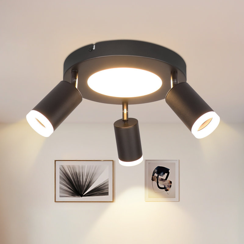 Shelvin Spotlight, Matt/Black