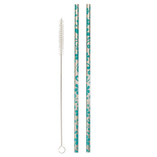 Echo Three Novelty Stainless Steel Reusable Straws