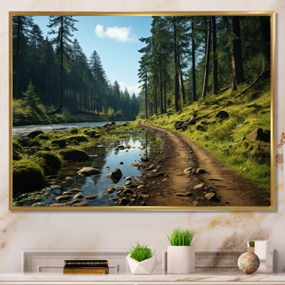 «USA Siuslaw National Forest Oregon», reproduction sur toile