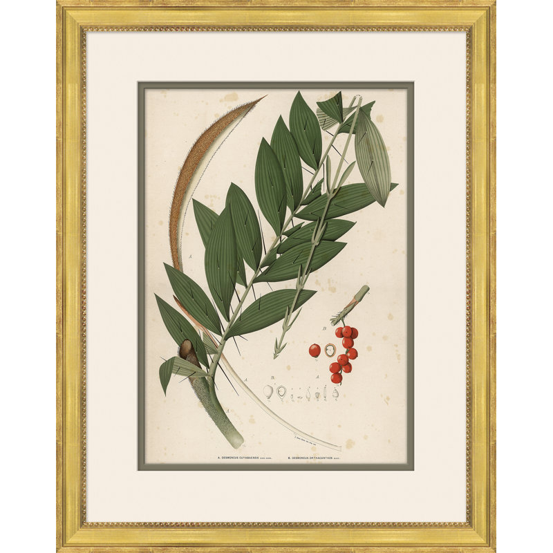 «Palm Leaves 2», peinture sur cadre