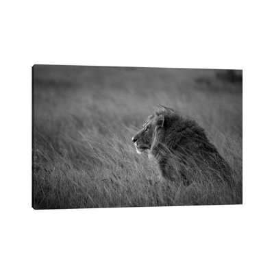 Lion King by Anura Fernando - Wrapped Canvas Print