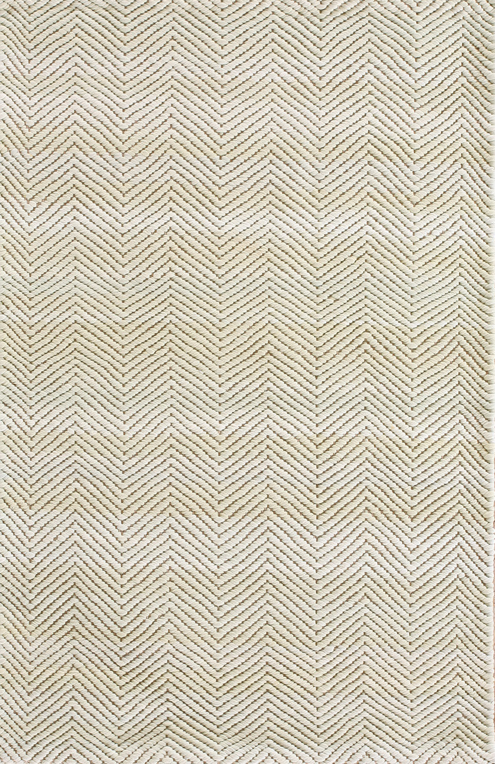 The New England Collection American Rag Area Rug | Wayfair